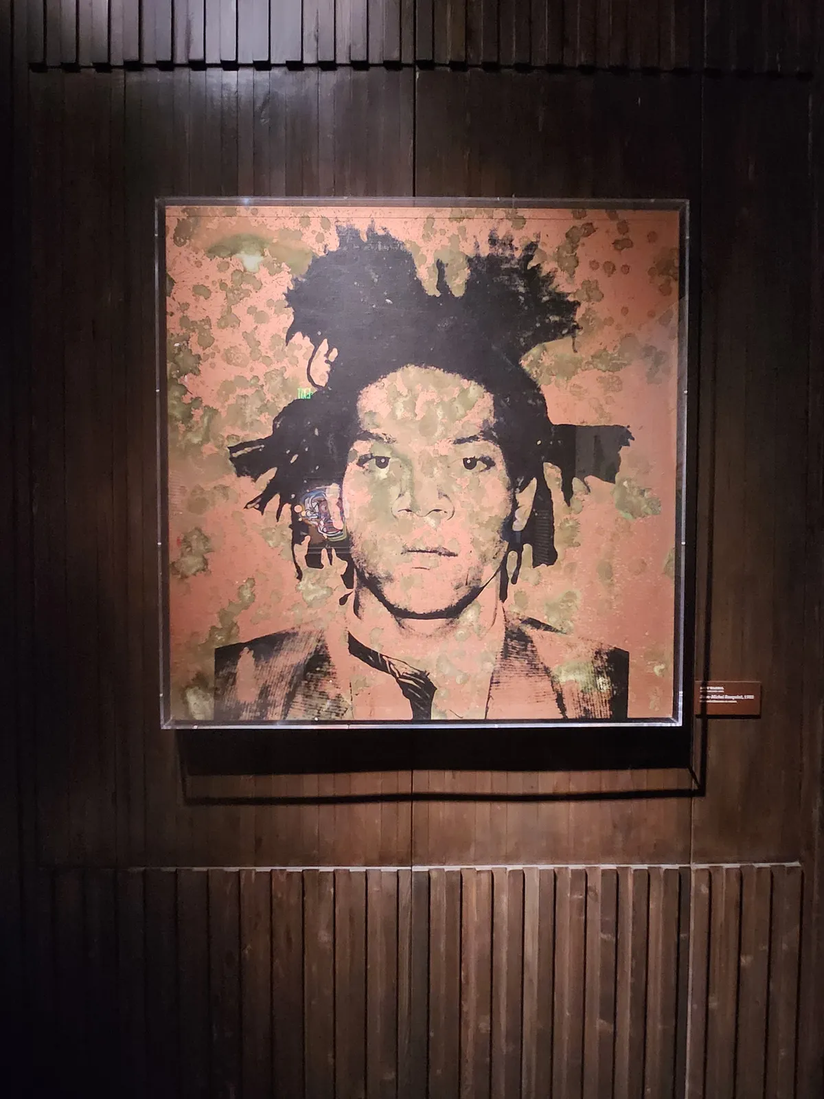 Basquiat Gallery Image 20